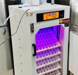 Máy ấp trứng 500 phiên bản cao cấp 2026