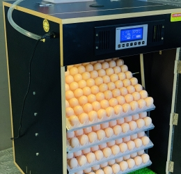 Máy ấp Mic 400 trứng thế hệ 2022 | Bản nâng cao Full tự động | Phiên bản cao nhất