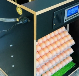 Máy ấp Mic 300 trứng thế hệ 2022 | Bản nâng cao Full tự động | Tùy chọn dàn đảo