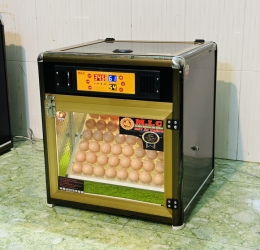 Máy ấp trứng 56 phiên bản mới 2024 vật liệu Nhôm Composite (bản Base)