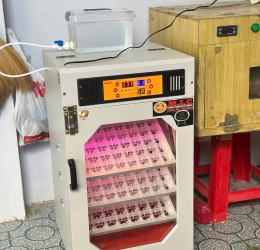 Máy ấp trứng 150 ( 168 sức chứa tối đa) Phiên bản mới nhất 2026 Bản Cao cấp