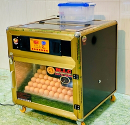 Máy ấp trứng Mic 100 Bản cao cấp Kim loại Phun Sương | Lọc ion 