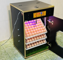 Máy ấp trứng 150 (168 trứng tối đa) phiên bản mới 2024 vật liệu MDF chống ẩm (bản Base)