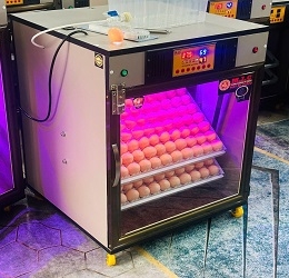 Máy ấp Mic 200 trứng phiên bản 2025 | Bản full cao cấp tự động hiện đại