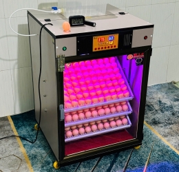 Máy ấp Mic 300 trứng phiên bản 2025 | Bản full cao cấp tự động hiện đại