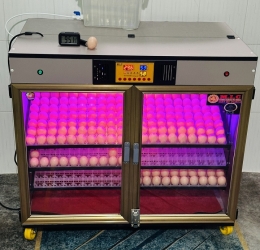 Máy ấp Mic 600 trứng phiên bản 2025 | Bản full cao cấp tự động hiện đại