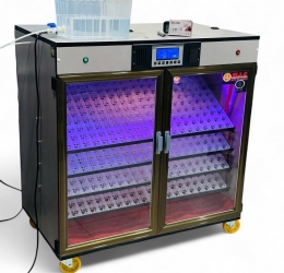 Máy ấp Mic 800 trứng phiên bản 2025 | Bản full cao cấp tự động hiện đại