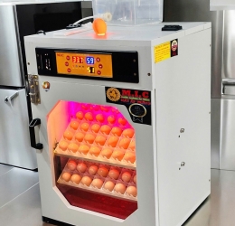 Máy ấp trứng 100 cao cấp (112 sức chứa) Phiên bản mới nhất 2026 | Bản Cao Cấp