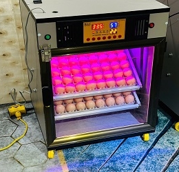 Máy ấp trứng 100 cao cấp (112 sức chứa) Phiên bản mới nhất 2025 | Bản tiêu chuẩn