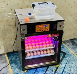 Máy ấp trứng 100 cao cấp (112 sức chứa) Phiên bản mới nhất 2025 | Bản Cao Cấp