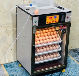 Máy ấp trứng 150 ( 168 sức chứa tối đa) Phiên bản mới nhất 2025 Bản Cao cấp