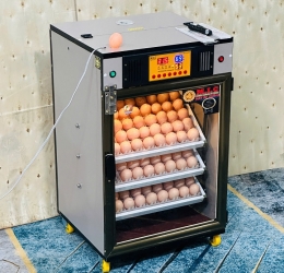 Máy ấp trứng 150 ( 168 sức chứa tối đa) Phiên bản mới nhất 2025 Bản tiêu chuẩn