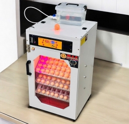 Máy ấp trứng 150 ( 168 sức chứa tối đa) Phiên bản mới nhất 2026 Bản Cao cấp