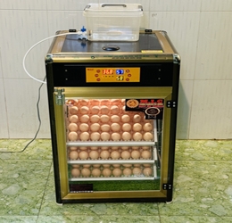 Máy ấp trứng 150 (168 trứng tối đa) phiên bản mới 2024 vật liệu Nhôm Composite (bản Full)