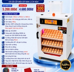 Máy ấp trứng 300 Phiên Cao Cấp bản 2026