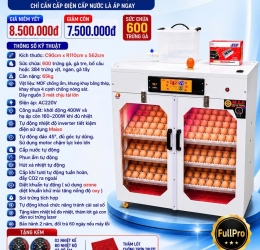 Máy ấp trứng 600 phiên bản cao cấp cửa đôi date 2026