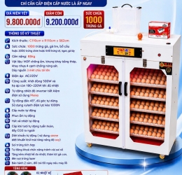 Máy ấp trứng Mic 1000 bản cao cấp đảo trứng Xylanh điện 30V date 2026